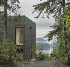  Эффектный дом площадью 100 кв.м с видом на лес и озеро в штате Вашингтон 